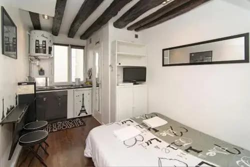 Lovely Cosy Studio Paris - main photo