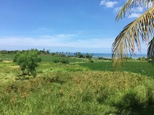 Exotica Bali Bed and Breakfast - photo 11