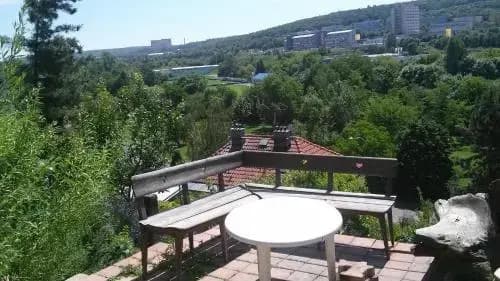 Branik Garden - photo 7