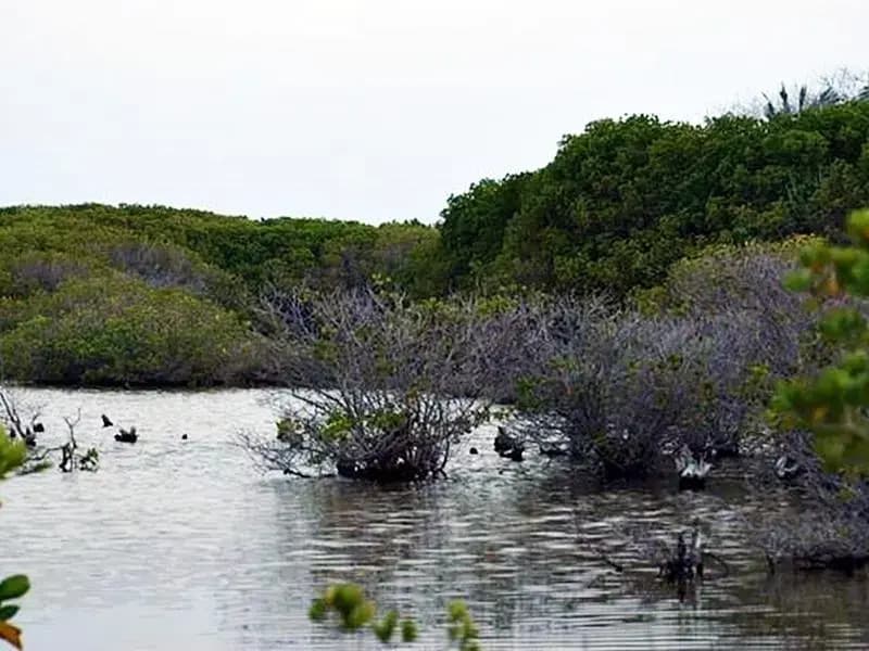 Famoso Inn Kulhudhhuffushi - photo 8