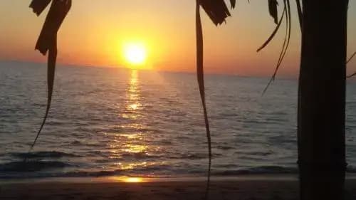 Sunset Bungalows - photo 5