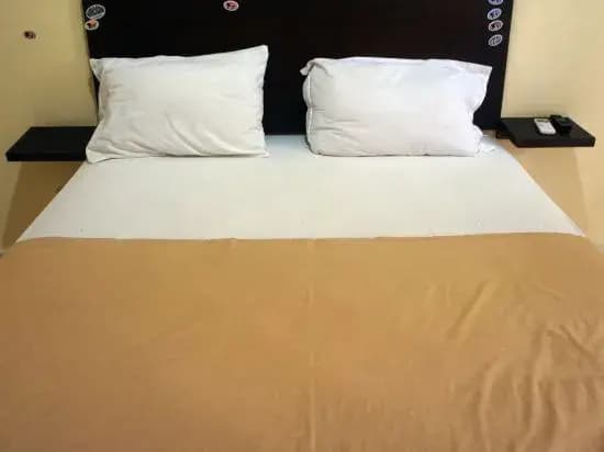 Sari Agung Hotel - photo 6