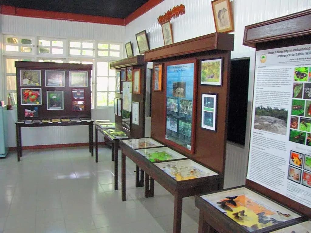 Tabin Wildlife Resort - photo 6