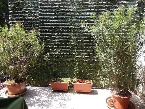 Forte House Bed Breakfast - main photo