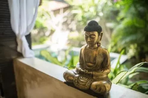 Villa Exotic - photo 15