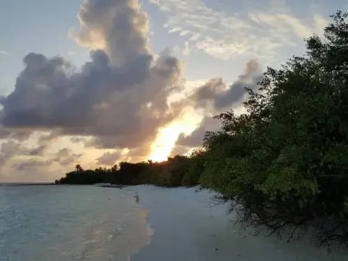 Fulhadhoo inn - photo 8