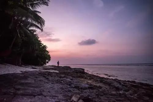 Fulhadhoo inn - photo 5