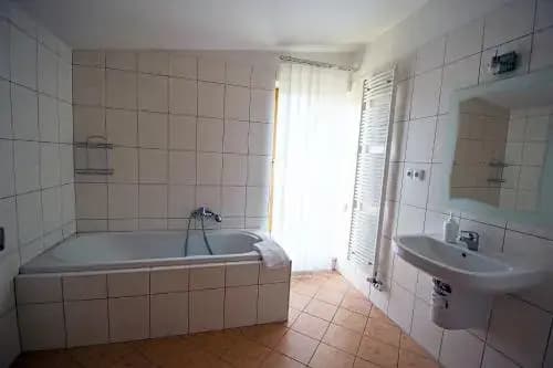 Ruttera House With Garden - photo 4