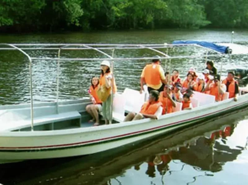 Borneo Proboscis River Lodge - photo 4