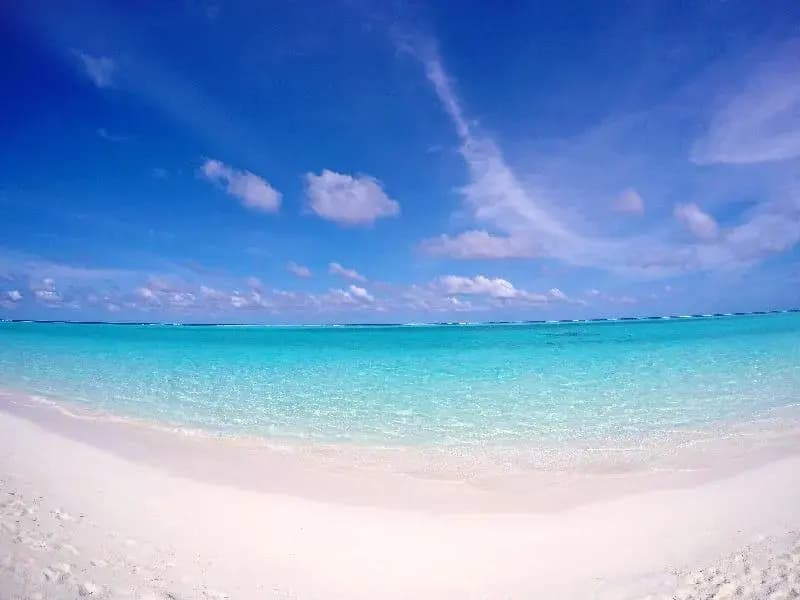 Holiday Grand Thoddoo - photo 7