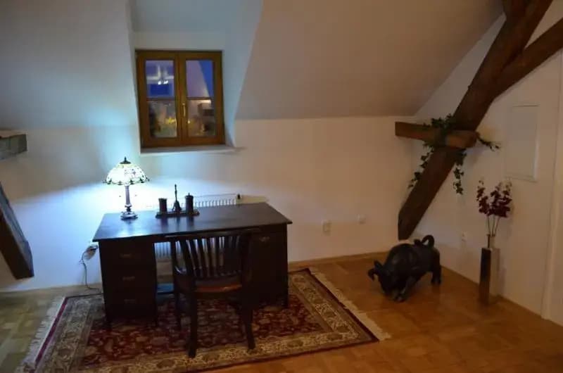 Attic Hastalska - photo 5