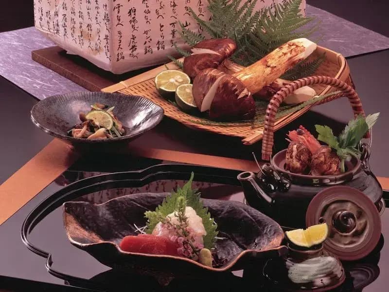 Momijiya Bekkan Kawa No Iori Ryokan - photo 3
