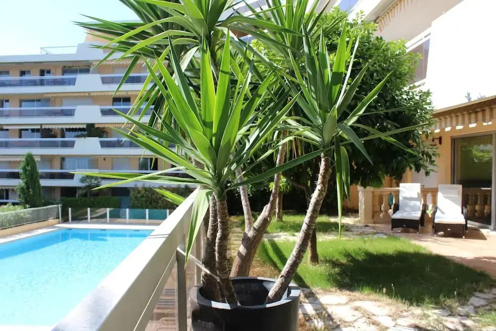 Nice Booking-Bella Vista-Piscine Jardin - photo 5