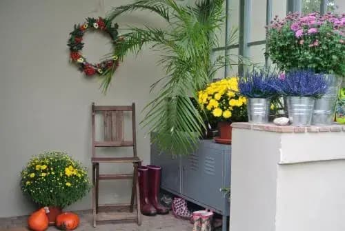 Klanhome - photo 11