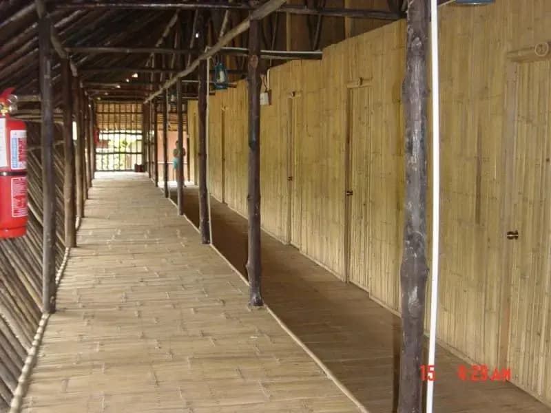 Borneo Proboscis River Lodge - photo 2