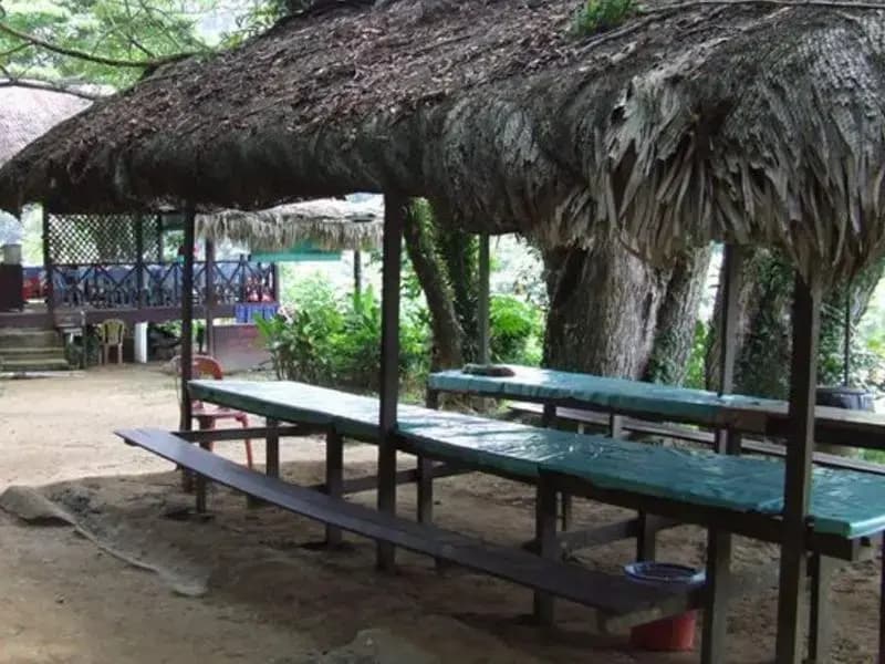 TRV Lodge - photo 3