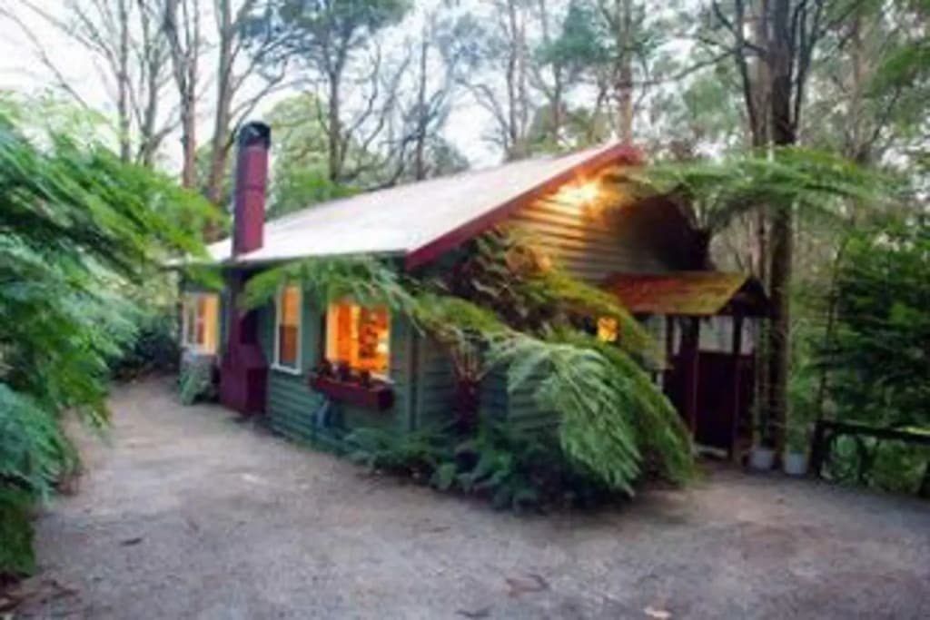 A Cottage in the Forest - photo 11