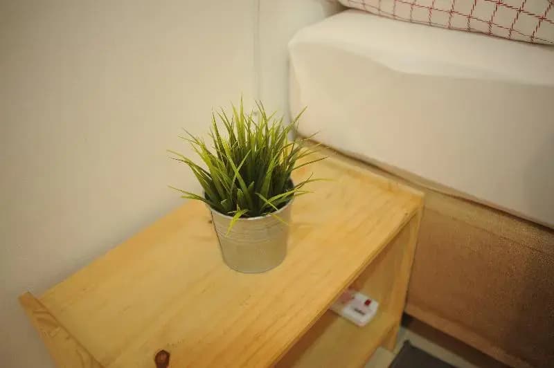 Orked Guesthouse - photo 5
