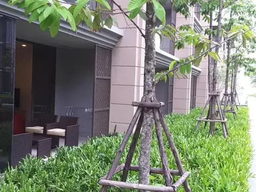 Baan Mai Khao Beach Residence - photo 5