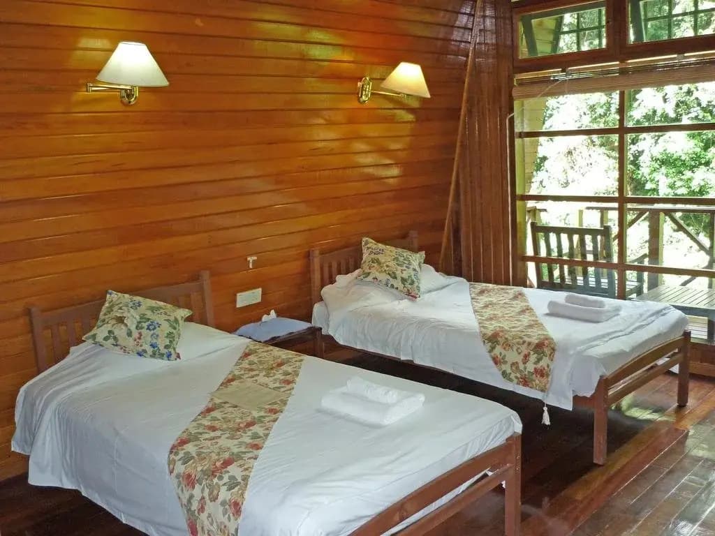 Tabin Wildlife Resort - photo 4