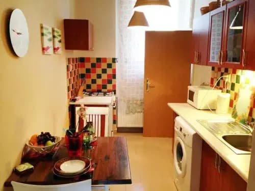 Rybna Large Apartment - photo 9