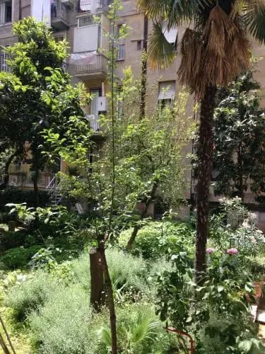 Casa Remo - Reboa Resort - photo 9