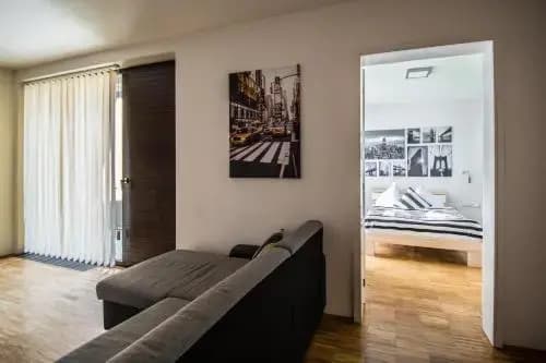 Ruterra Apartment with Garage - photo 7
