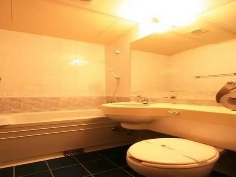 Plum Hotel - photo 8