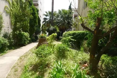 Jardin Promenade AP4128 - photo 9