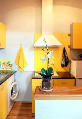 Your Home In Tbilisi - photo 13
