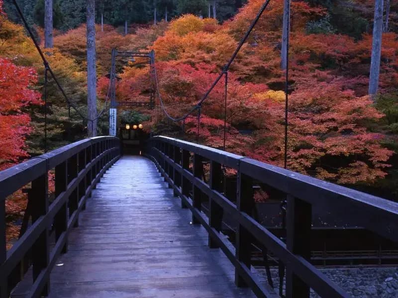 Momijiya Bekkan Kawa No Iori Ryokan - photo 5
