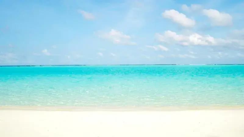 Holiday Grand Thoddoo - photo 4