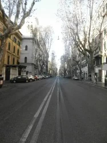 CentroRoma - photo 13