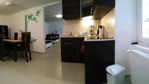 VisegradApartment - photo 3