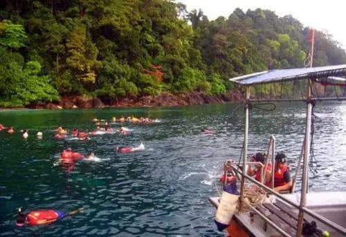 Redang Pelangi Resort - photo 11