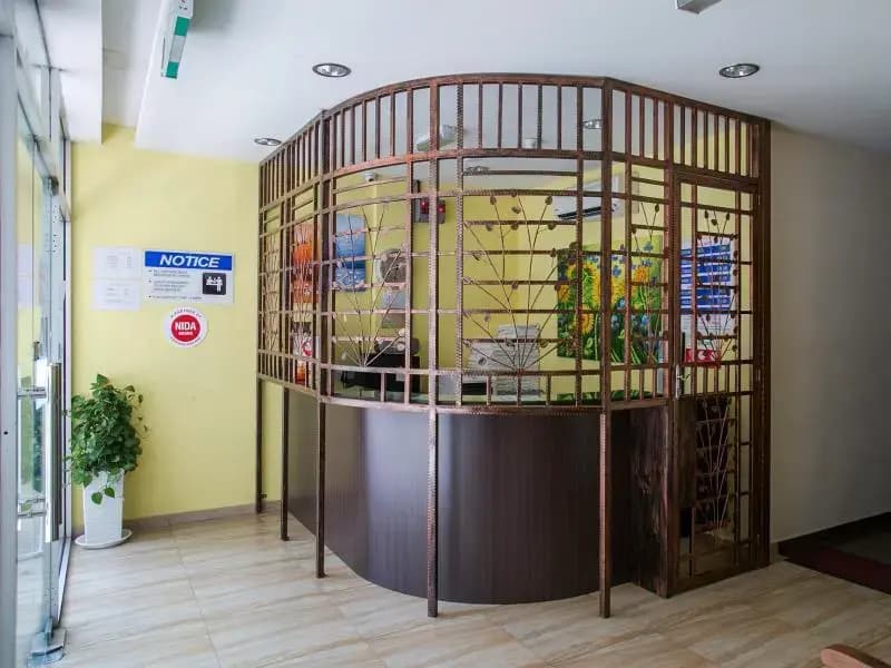 OYO 172 Spring Hotel - photo 5