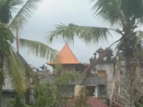 Ogek Home Stay - photo 12