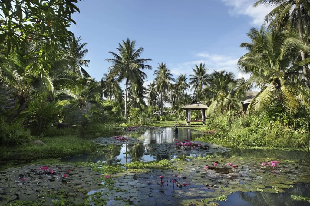 Anantara Mai Khao Phuket Villas - photo 26