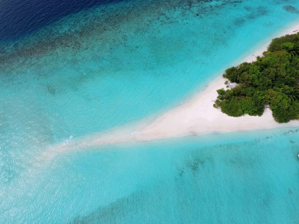 Niva Dhigali Maldives Hotel - photo 38