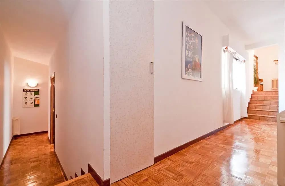Olmo - photo 12