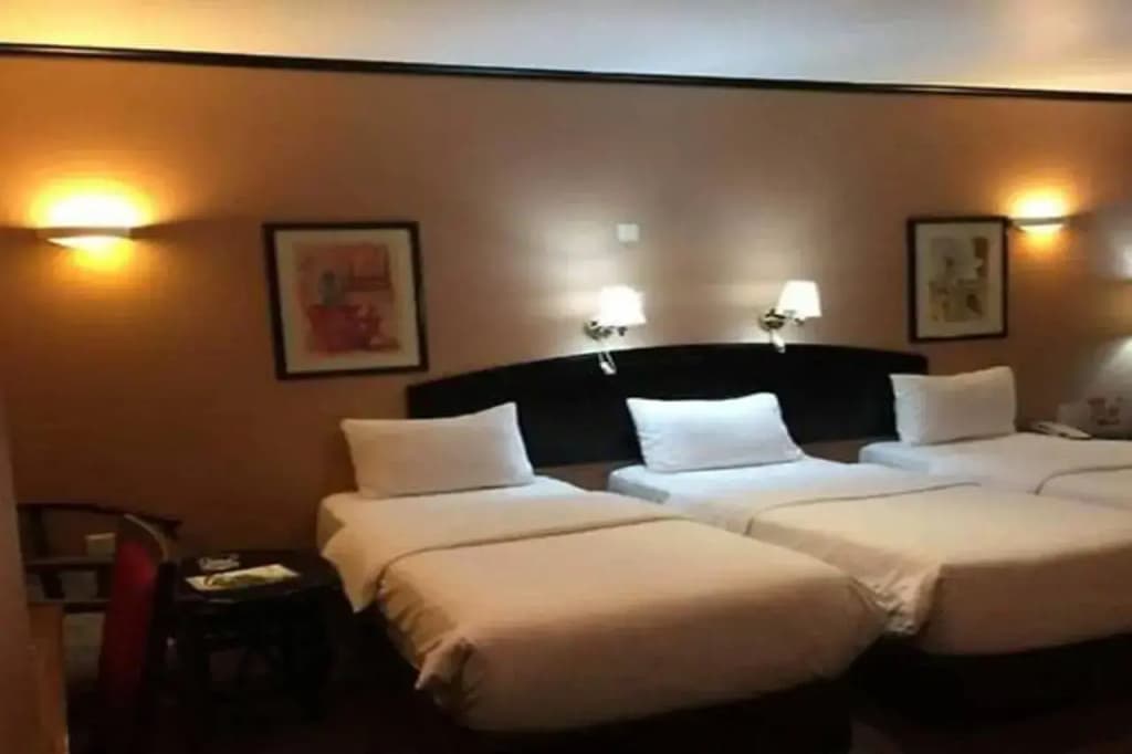 GSS Palace Hotel - photo 43