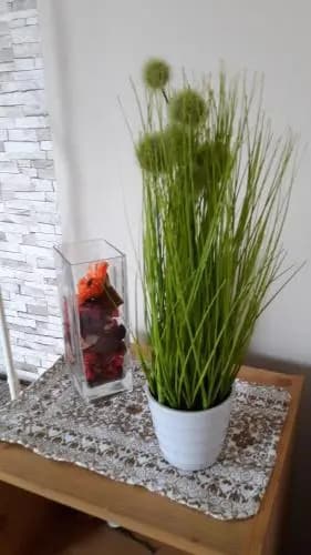 Vendel Terasz - photo 10