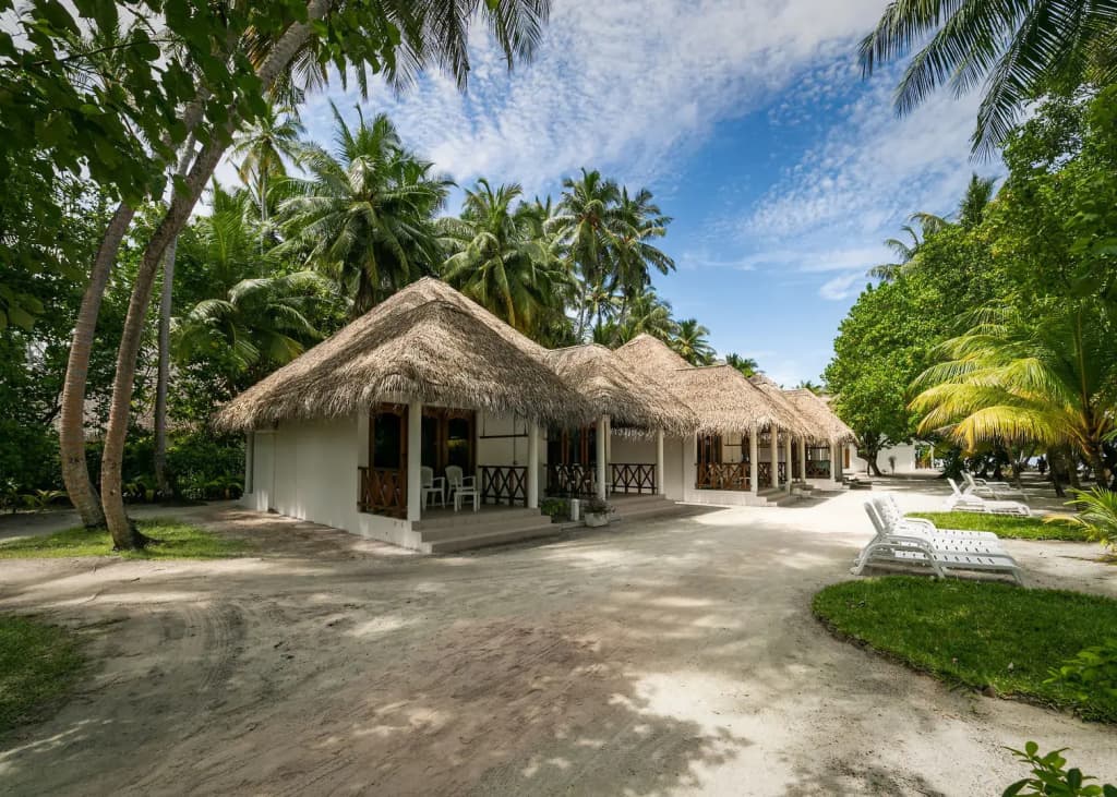 Fihalhohi Maldives - photo 22