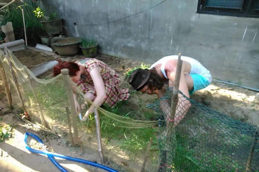The Grass Vy Homestay - photo 10