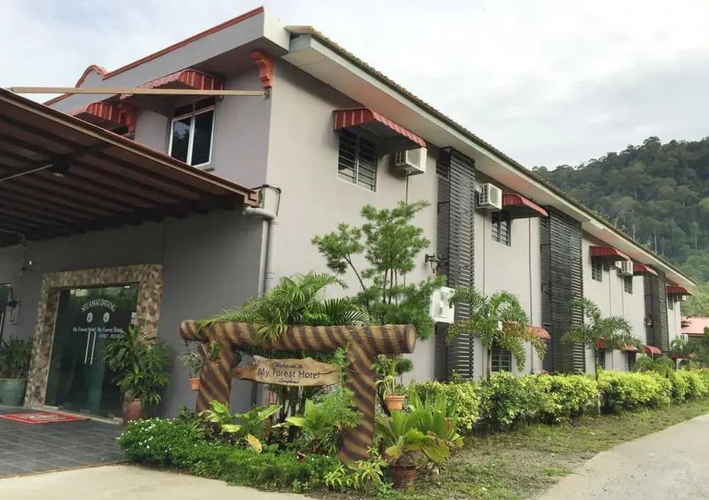 My Forest Hotel - photo 11