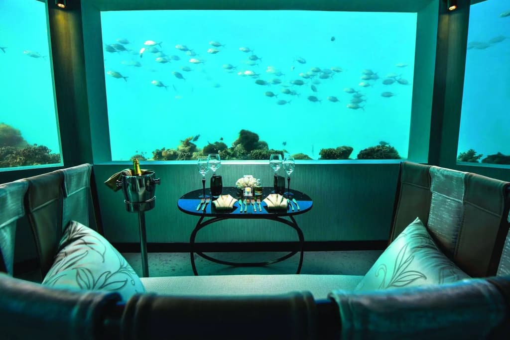Ozen Life Maadhoo - photo 30