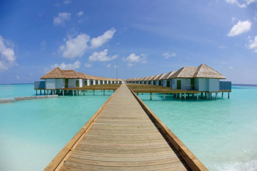 Outrigger Maldives Maafushivaru Resort - photo 19