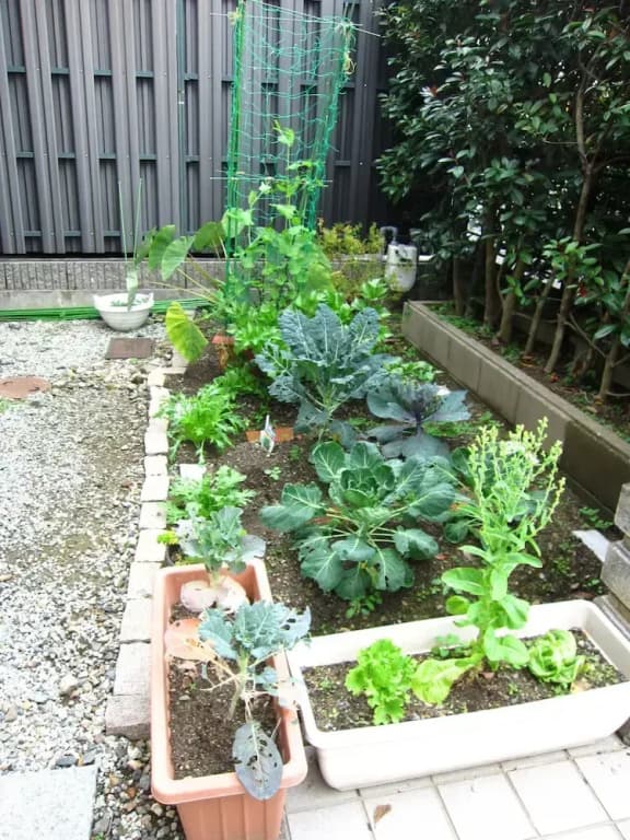 Kyonosato - photo 14