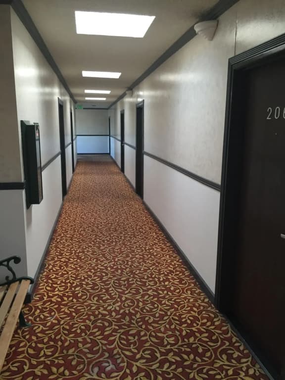 Park Plaza Lodge Hotel - photo 12