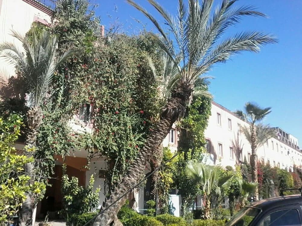 House With 3 Bedrooms in Marrakech, With Pool Access, Furnished Garden - photo 14